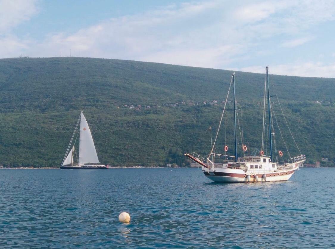 Vila Duricic 300M Od Mora Otel Ðenovići Dış mekan fotoğraf